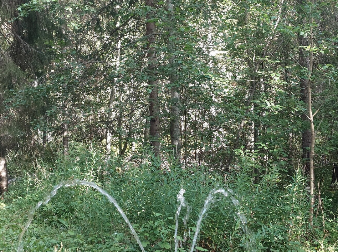 Springkällan-Rattvik必去景点
