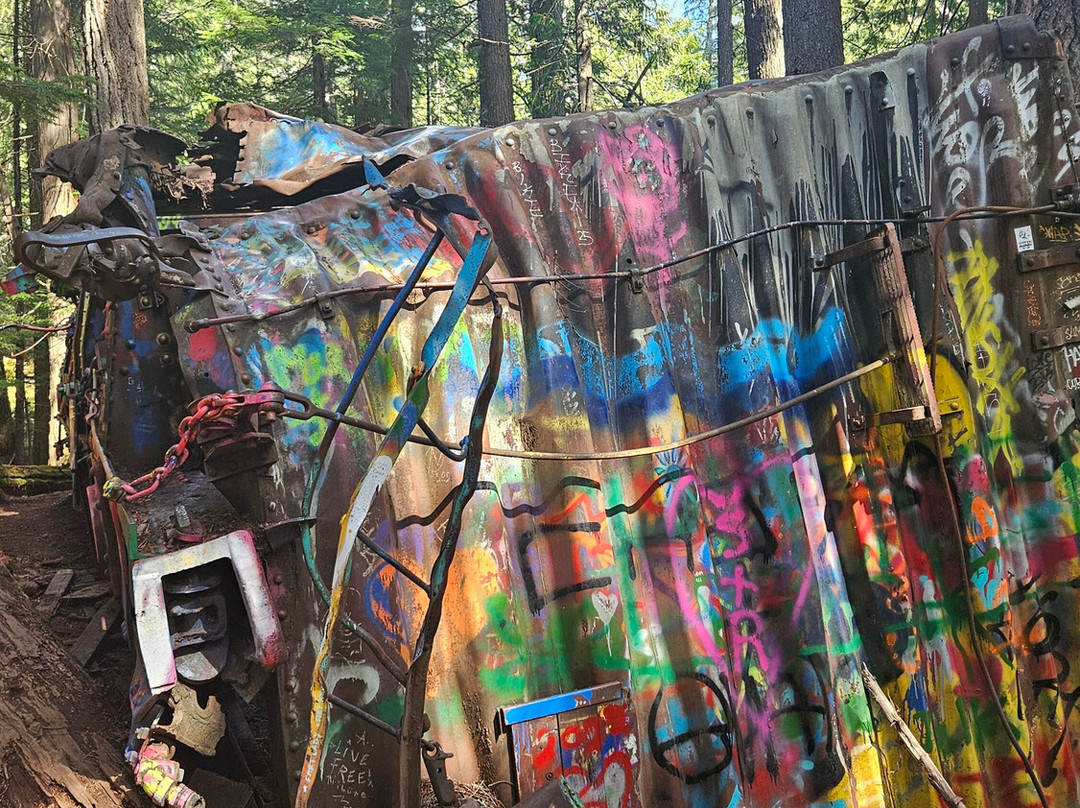 The Whistler Train Wreck Trail-惠斯勒必去景点