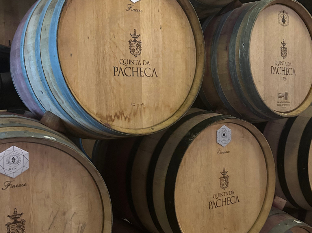 Fitapreta Vinhos-埃武拉必去景点
