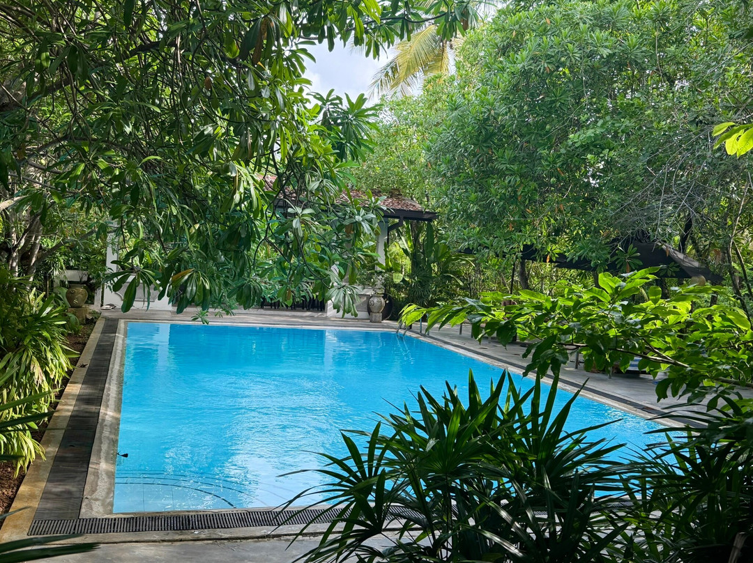 See Sri Lanka Tours-康提必去景点