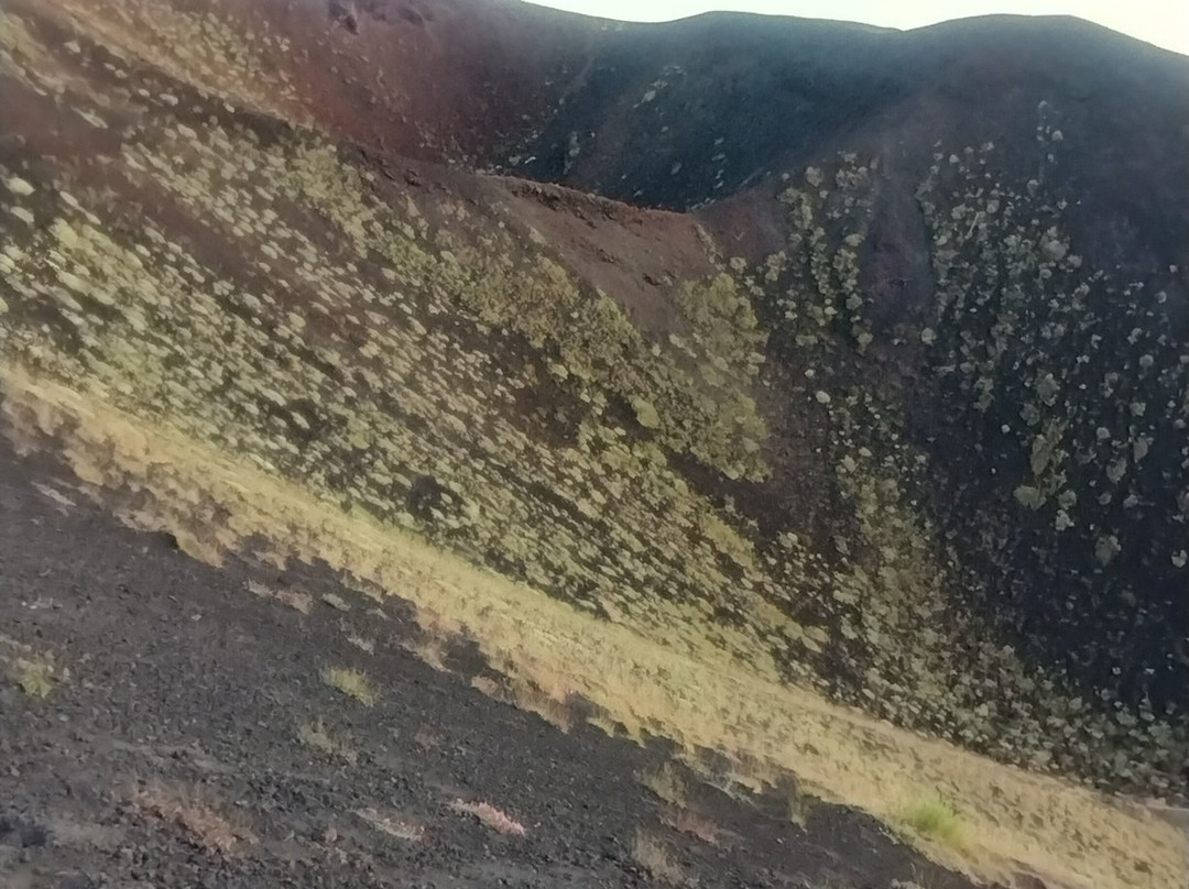 Craters Silvestri of Mount Etna-尼科洛西必去景点