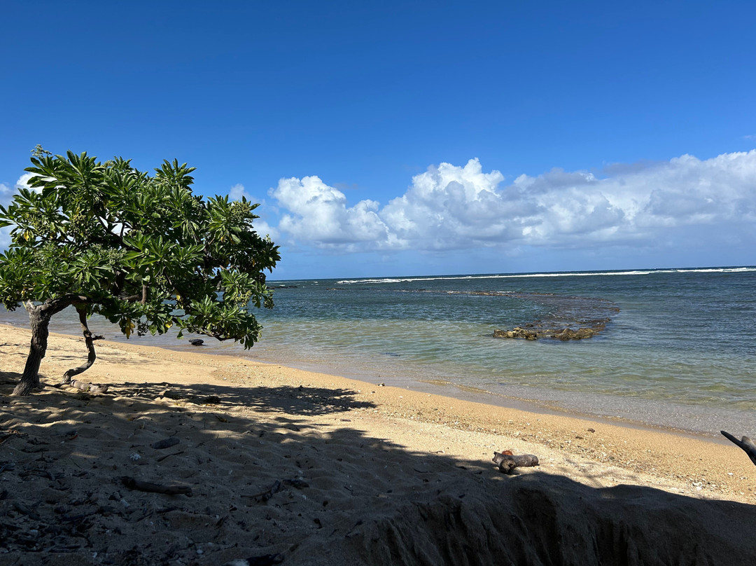 Dixie Maru Beach (Kapukahehu)-摩洛凯岛必去景点