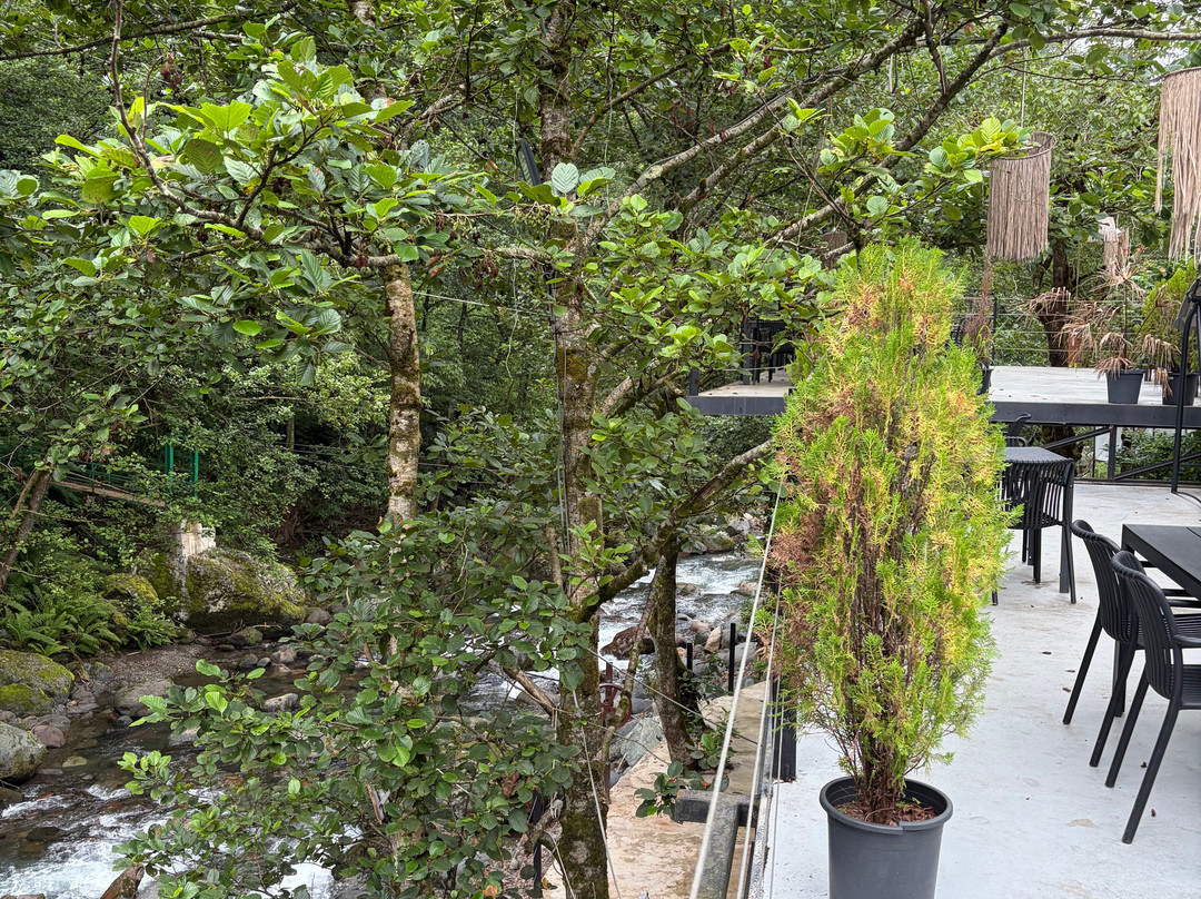 Park Resort Mtirala-Chakvistavi必去景点
