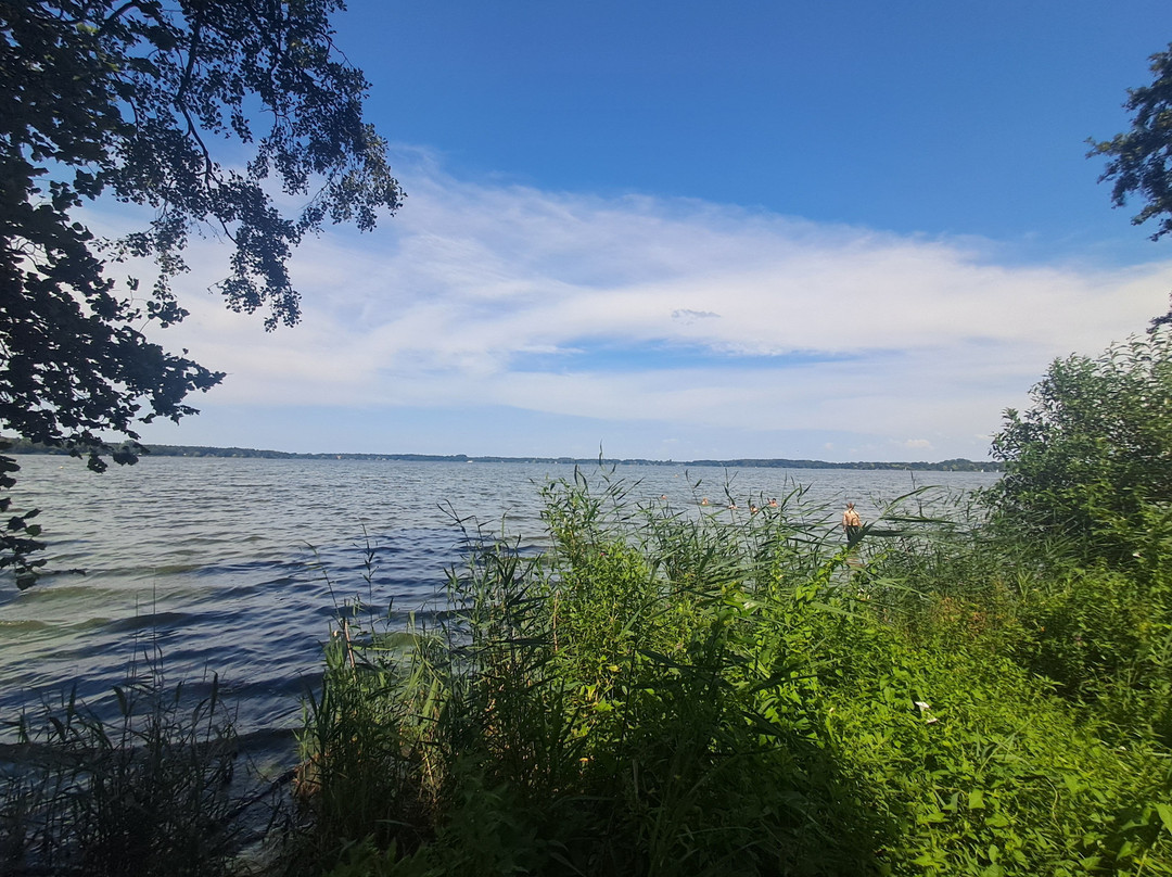 Aussichtsplattform Am Bad Zwischenahner Meer-Bad Zwischenahn必去景点