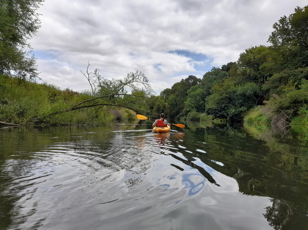 Hire a Canoe-什鲁斯伯里必去景点