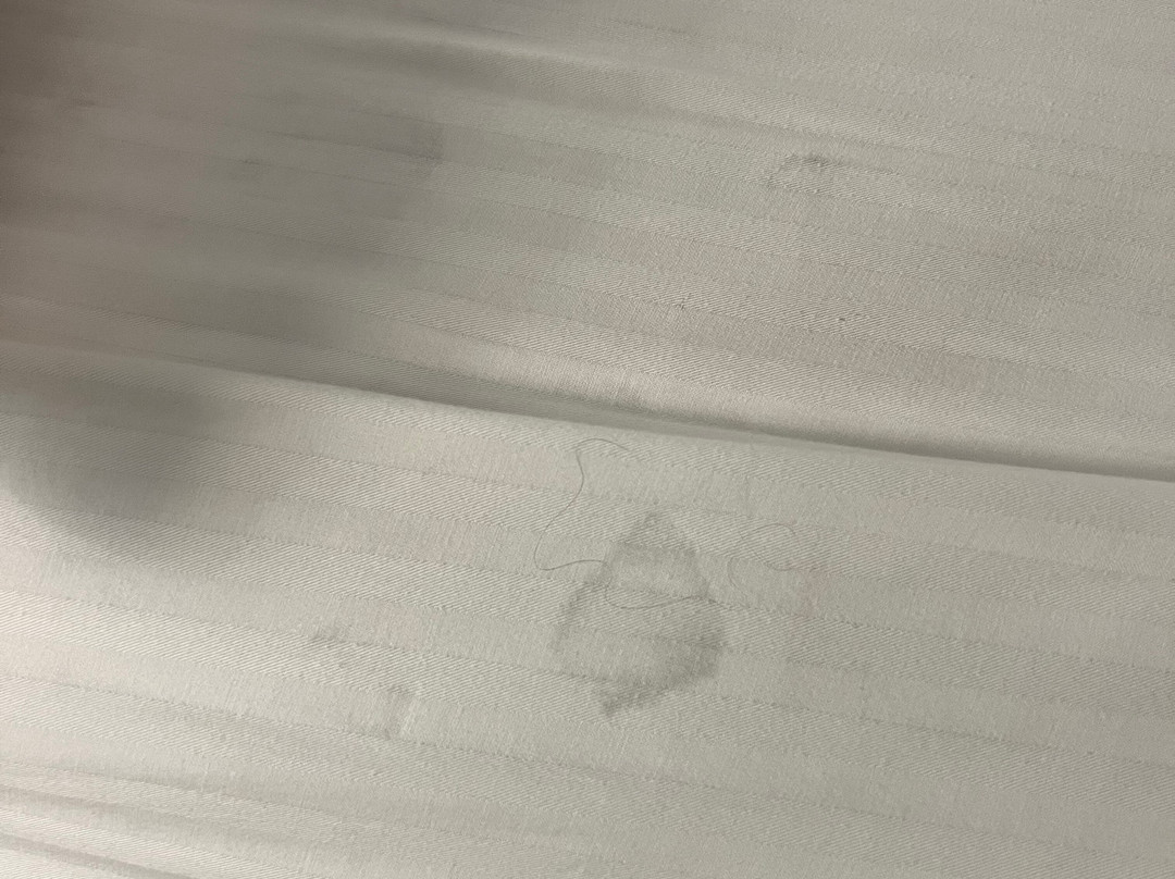 拉昆塔温德姆酒店-近桑达斯基锡达波因特主图
