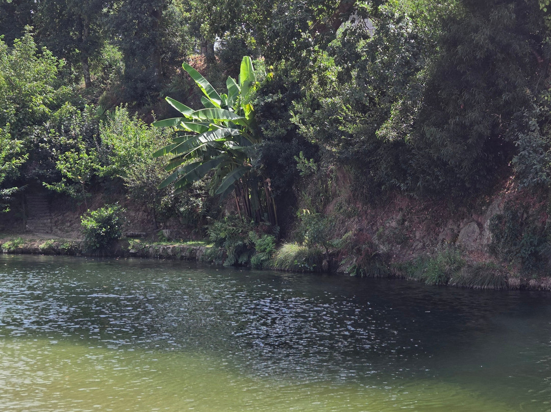 Praia Fluvial de Burgães-Vale de Cambra必去景点