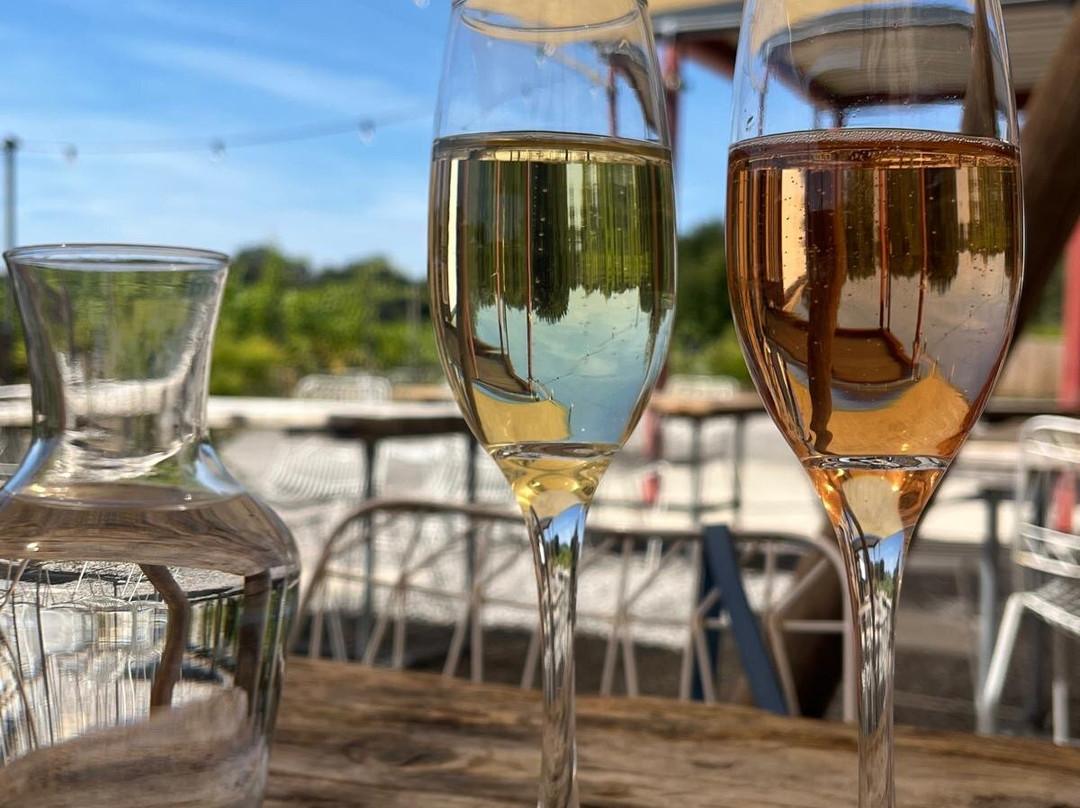 Mereworth Wines-梅德斯通必去景点