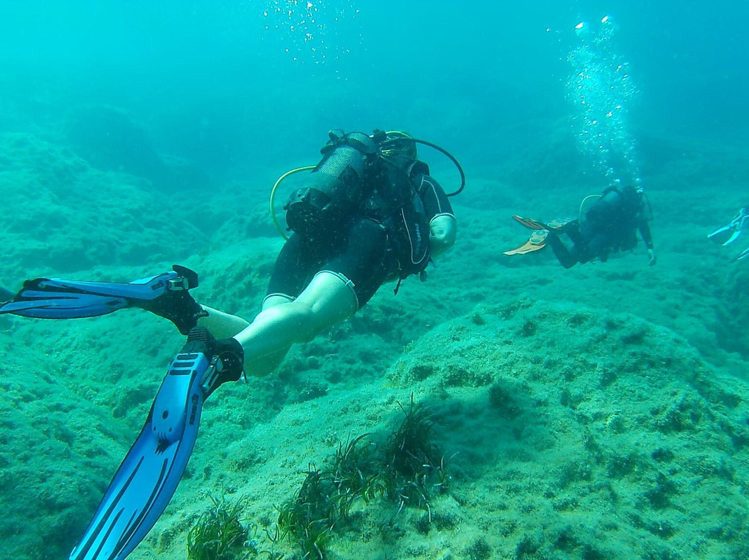 Marine Divers-帕福斯必去景点
