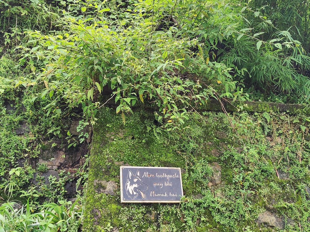 Landour-马苏里必去景点