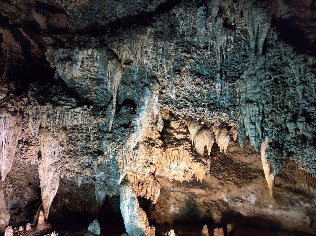 Grotta Antro del Corchia-Levigliani必去景点
