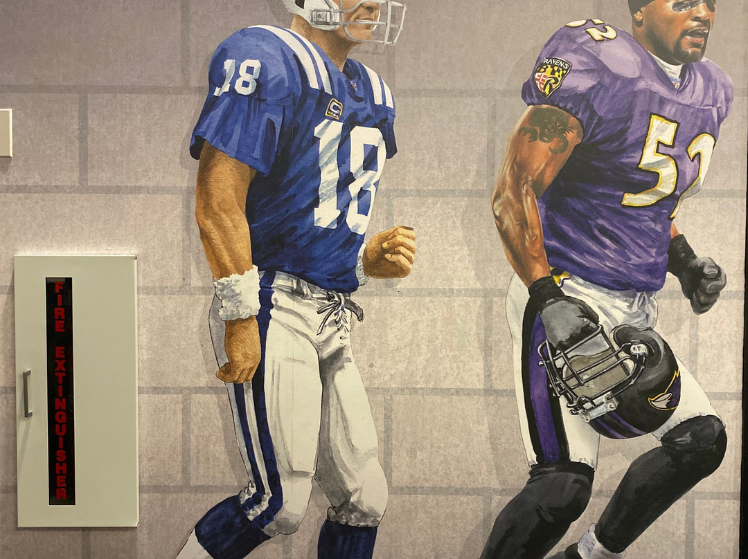 Pro Football Hall of Fame-坎顿必去景点
