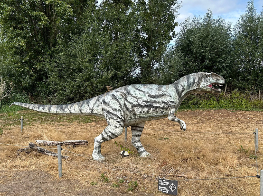 Dino Experience Park-高德必去景点