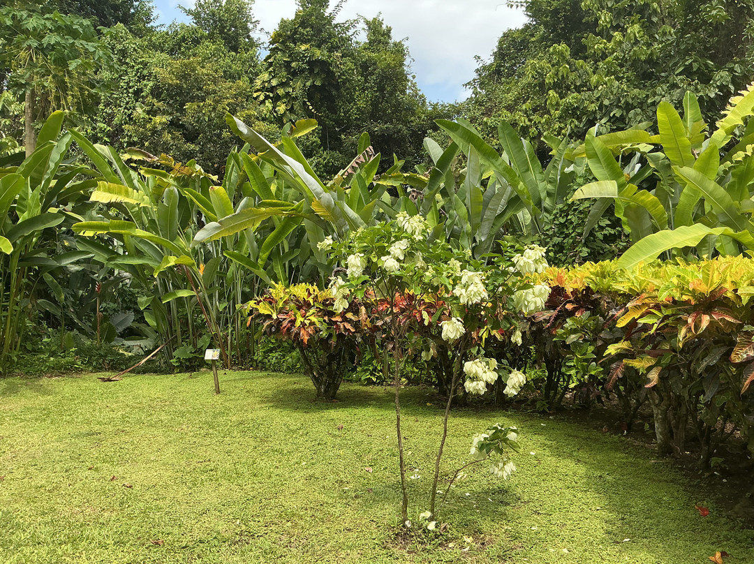 Jardin Botanique de Valombreuse-Petit-Bourg必去景点