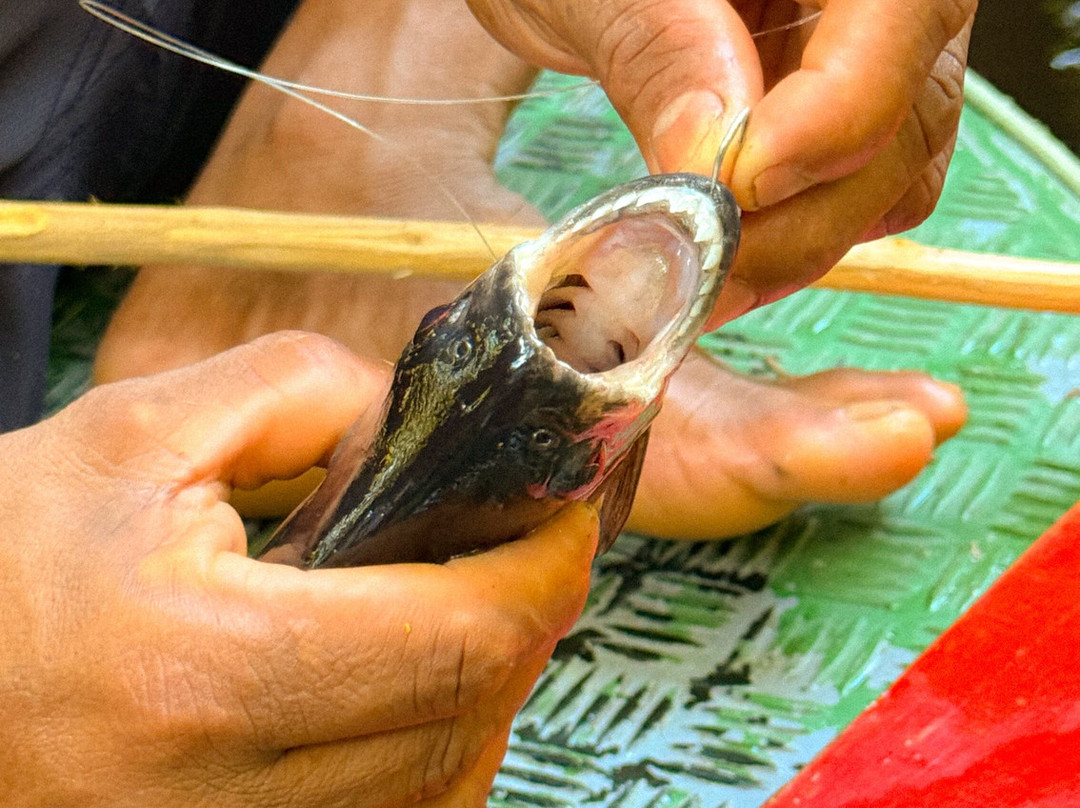 Amazon Green Island tour-Novo Airao必去景点