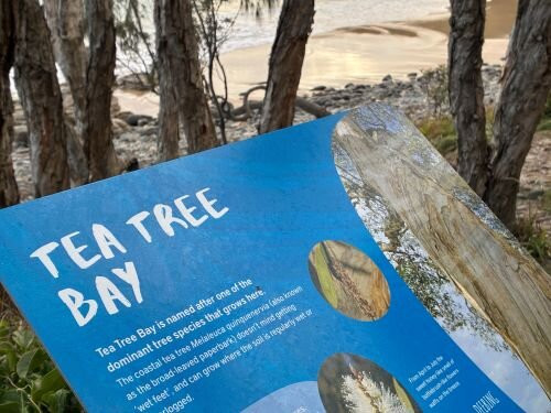 Tee Tree Bay Beach-努沙必去景点