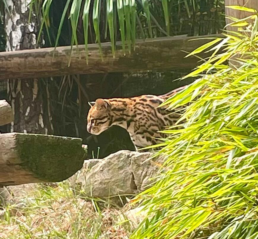 Parc Animalier Des Pyrénées-Ayzac-Ost必去景点