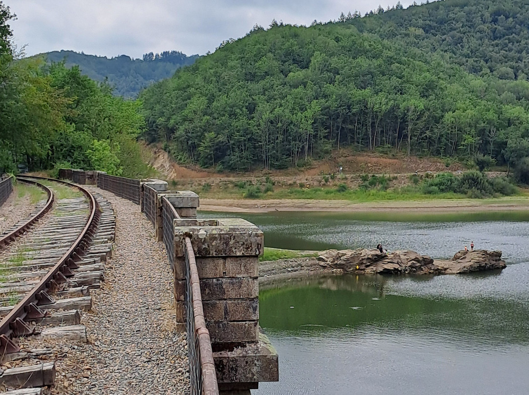 Pédalorail Electrique du Grand Pays de Salers-Ally必去景点