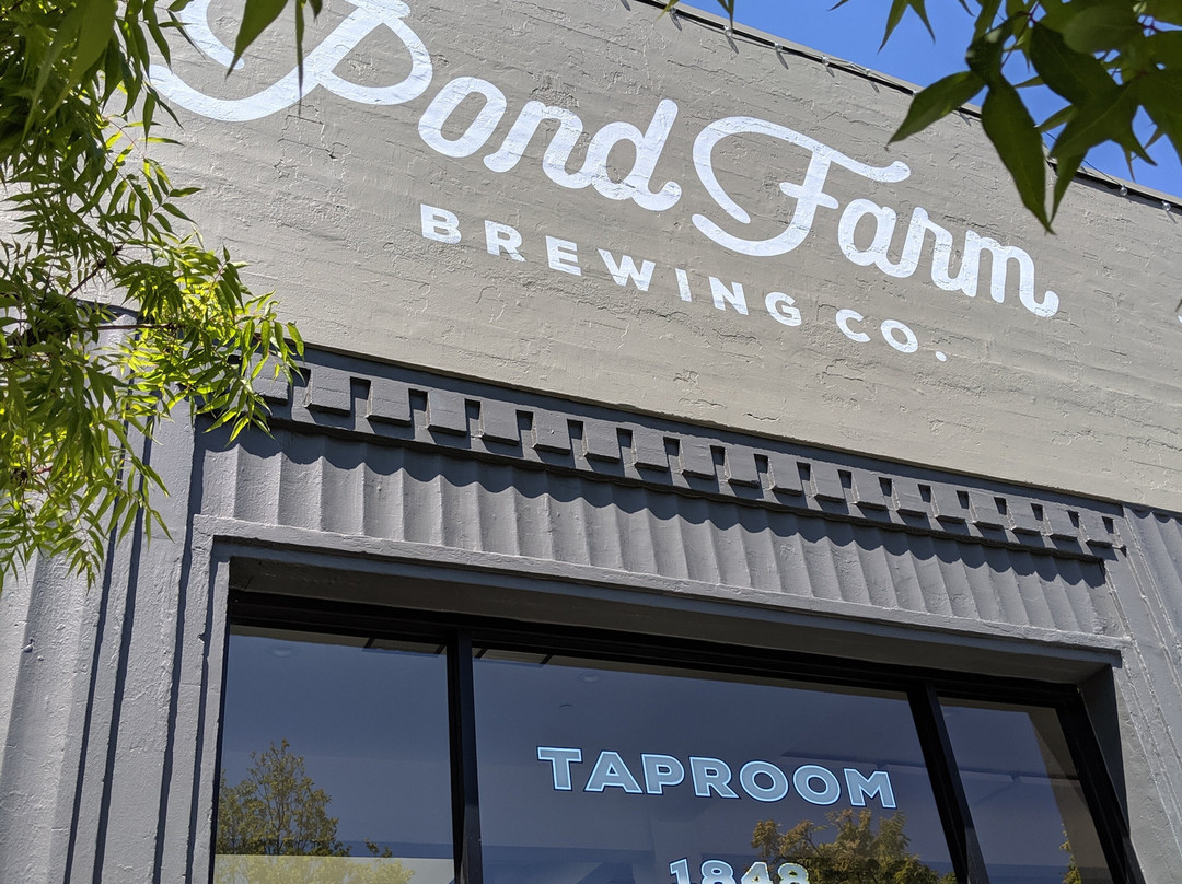 Pond Farm Brewing Company-圣拉斐尔必去景点