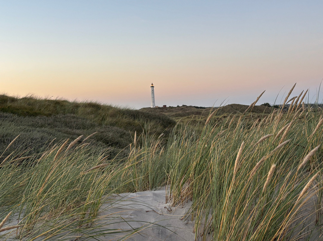 DCU-Camping Lyngvig Strand