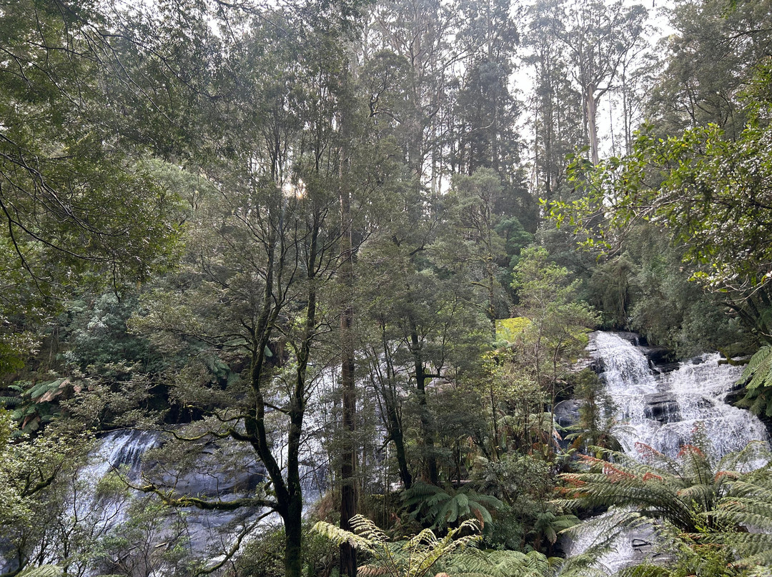 Triplet Falls-Beech Forest必去景点