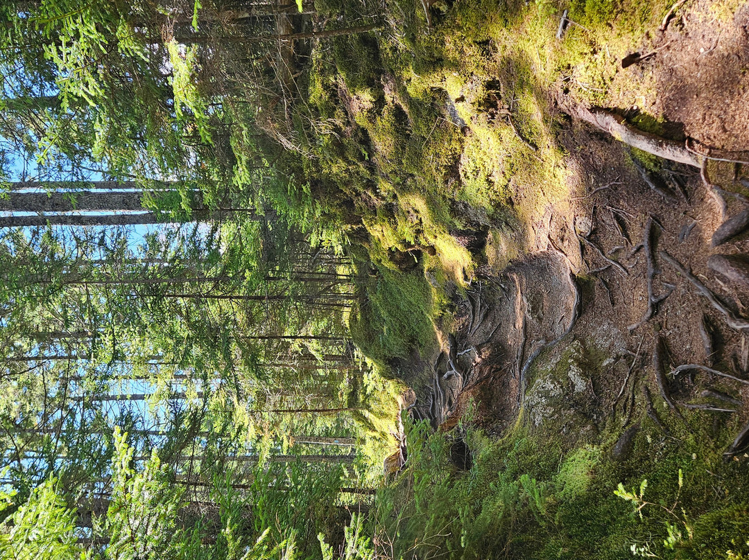 Barred Island Preserve-Deer Isle必去景点