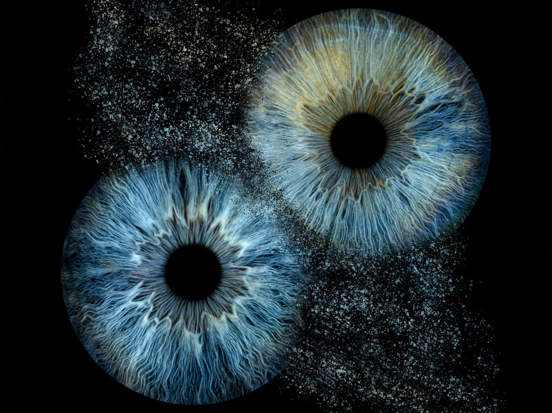 Iris Galerie Gent