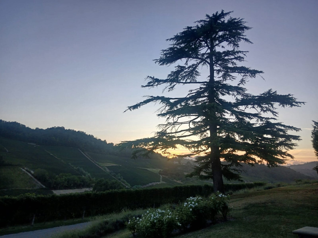 Costa di Bussia - Tenuta Arnulfo-蒙福特-达尔巴必去景点