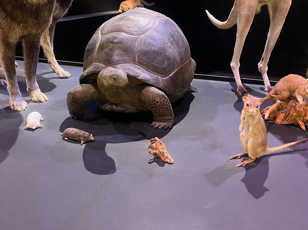 Naturalis Biodiversity Center-莱顿必去景点