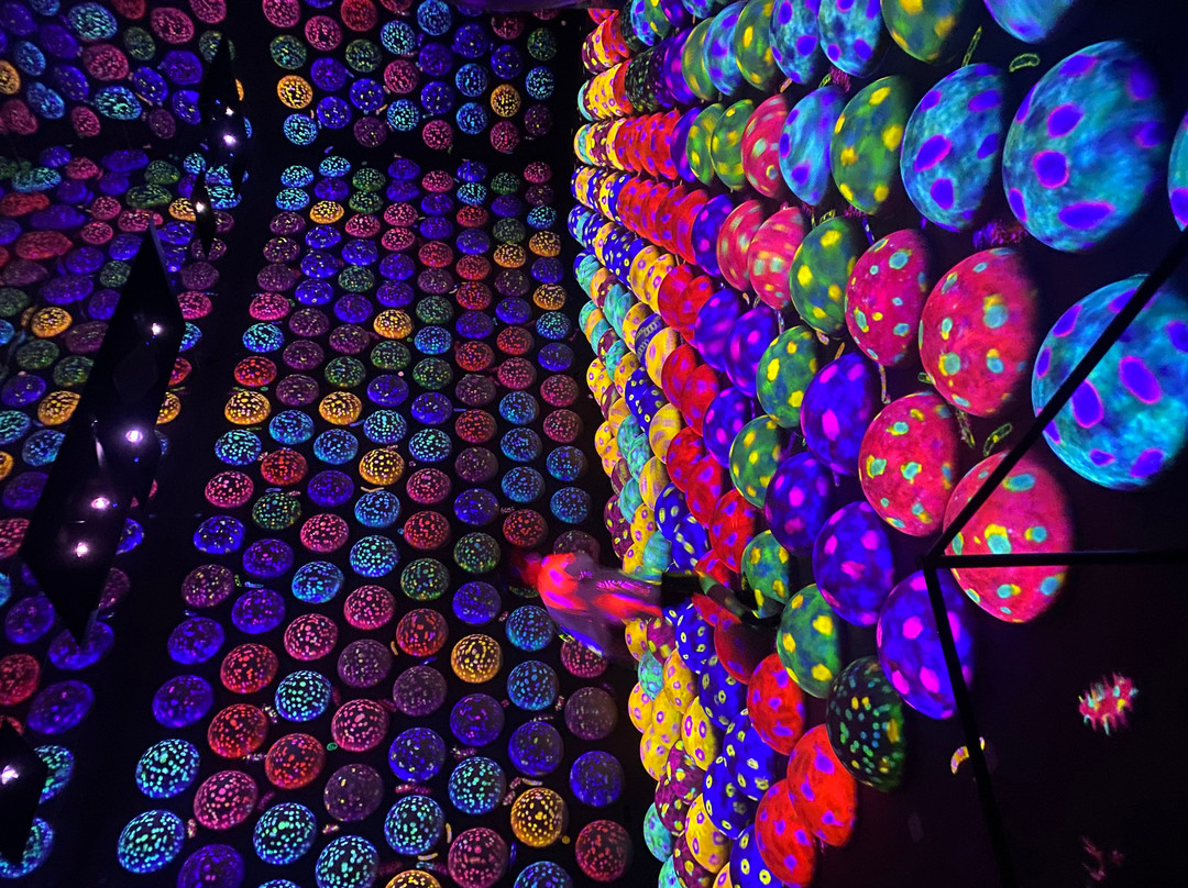 teamLab Planets TOKYO-Toyosu必去景点