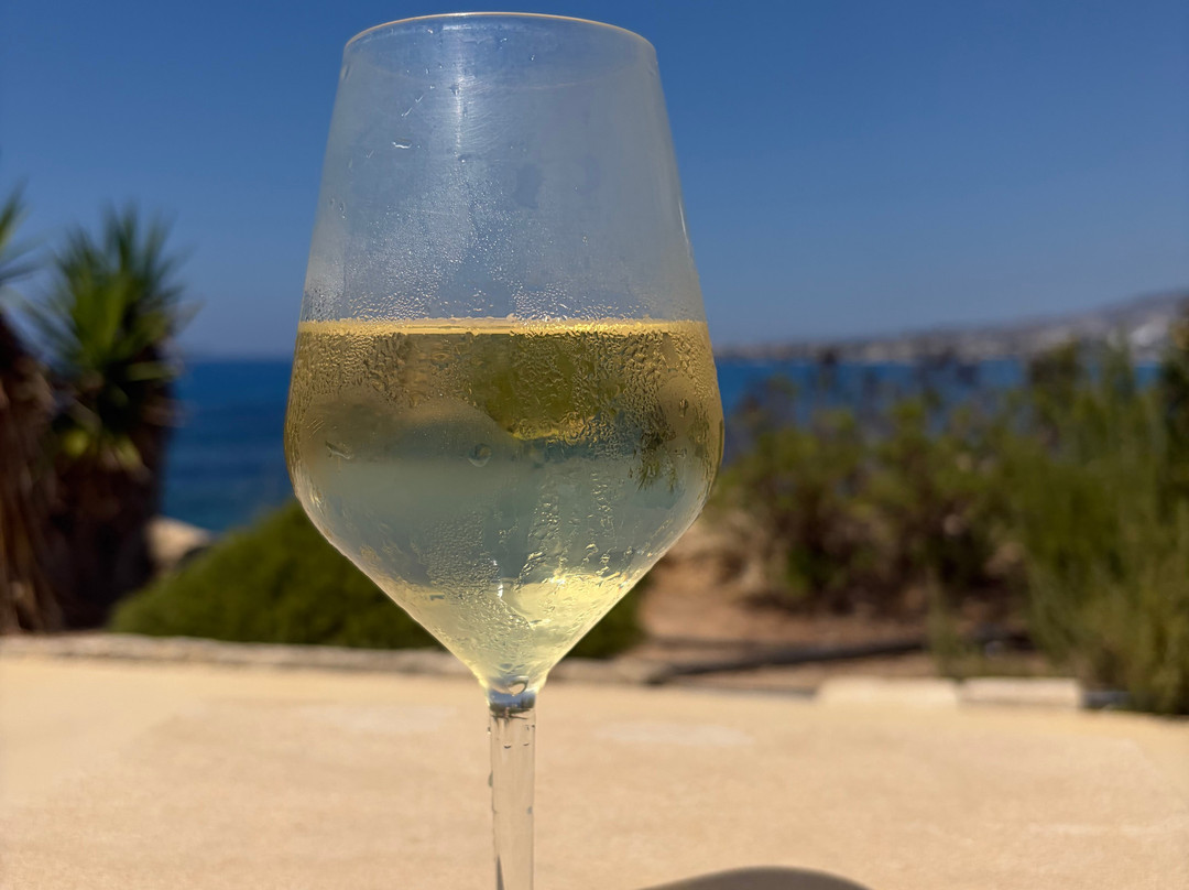 瓦拉齐亚海滩套房酒店-限成人主图