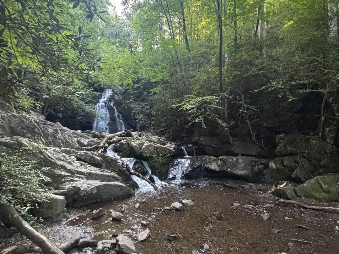 Spruce Flats Falls-大雾山国家公园必去景点