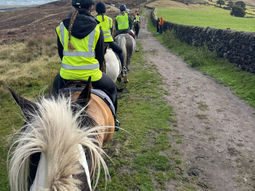 Northfield Farm Horse Riding and Trekking Centre-巴克斯顿必去景点