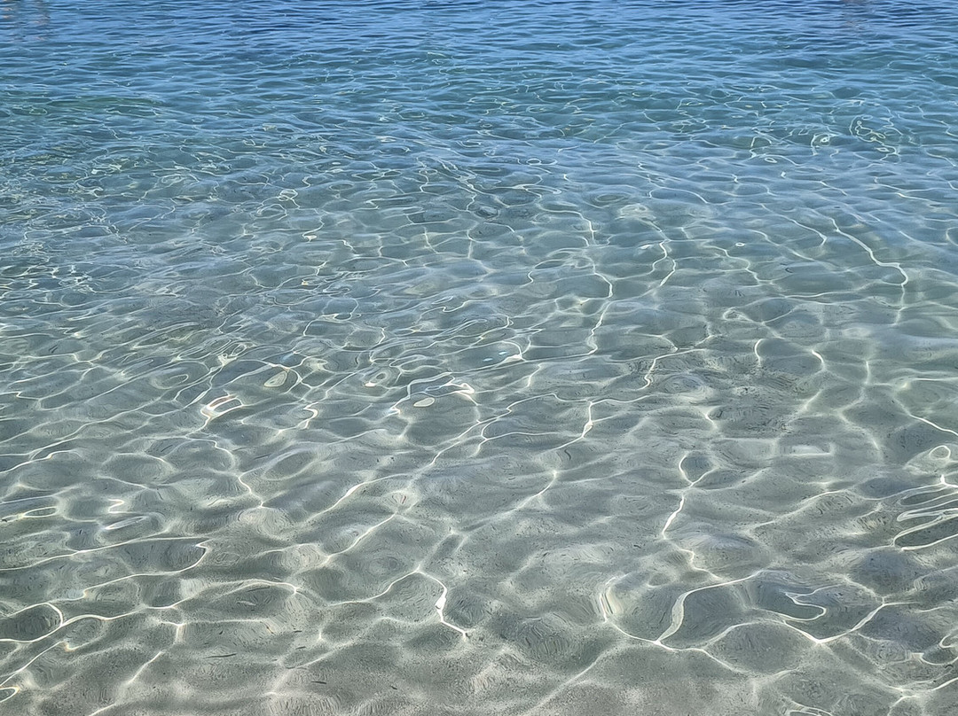 Platja d'es Trenc-Campos必去景点