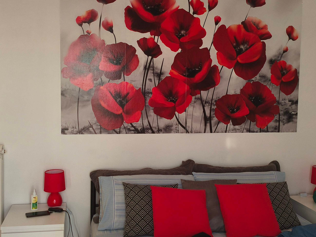伊尔摩艾住宿加早餐旅馆主图