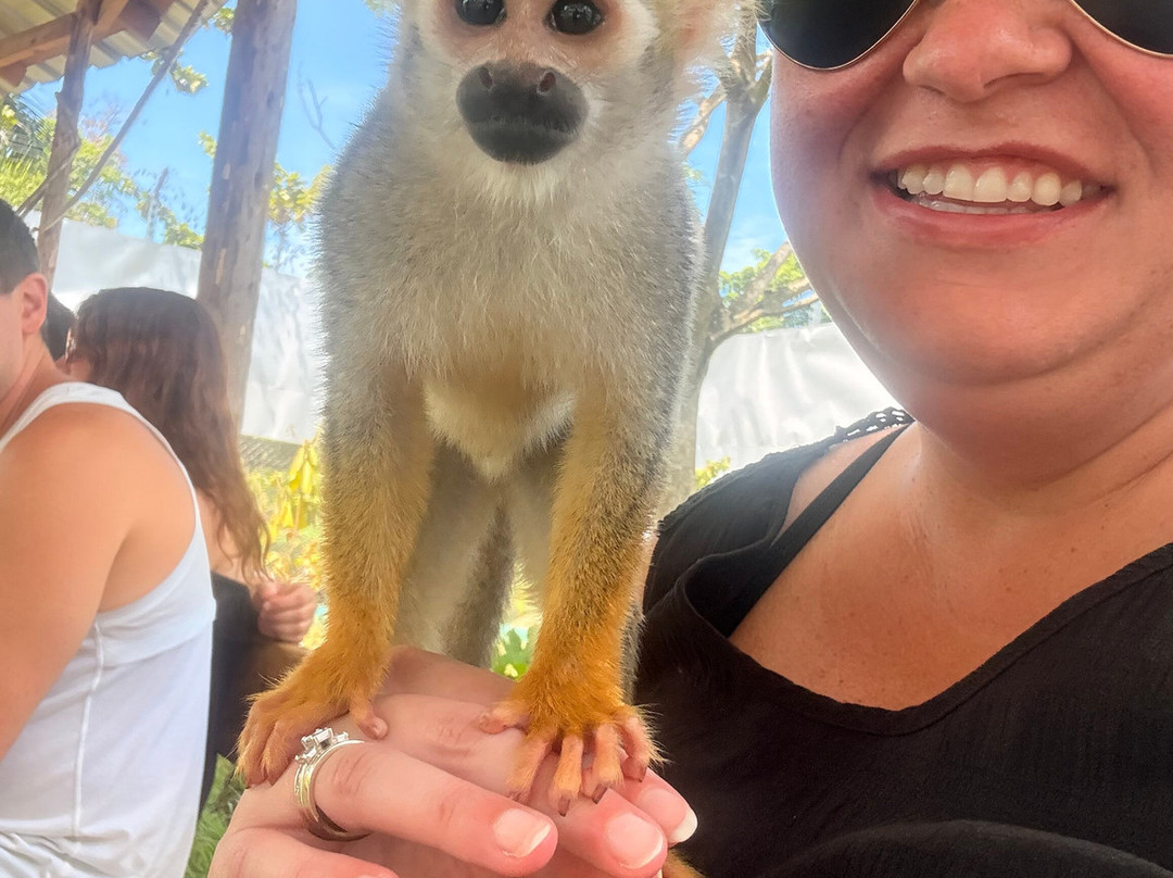 Monkey Home Puerto Plata-普拉塔港必去景点