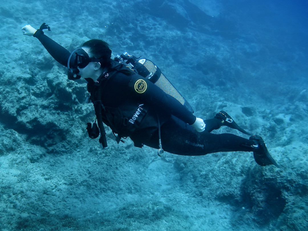 OK Diving Malta-圣保罗湾城必去景点