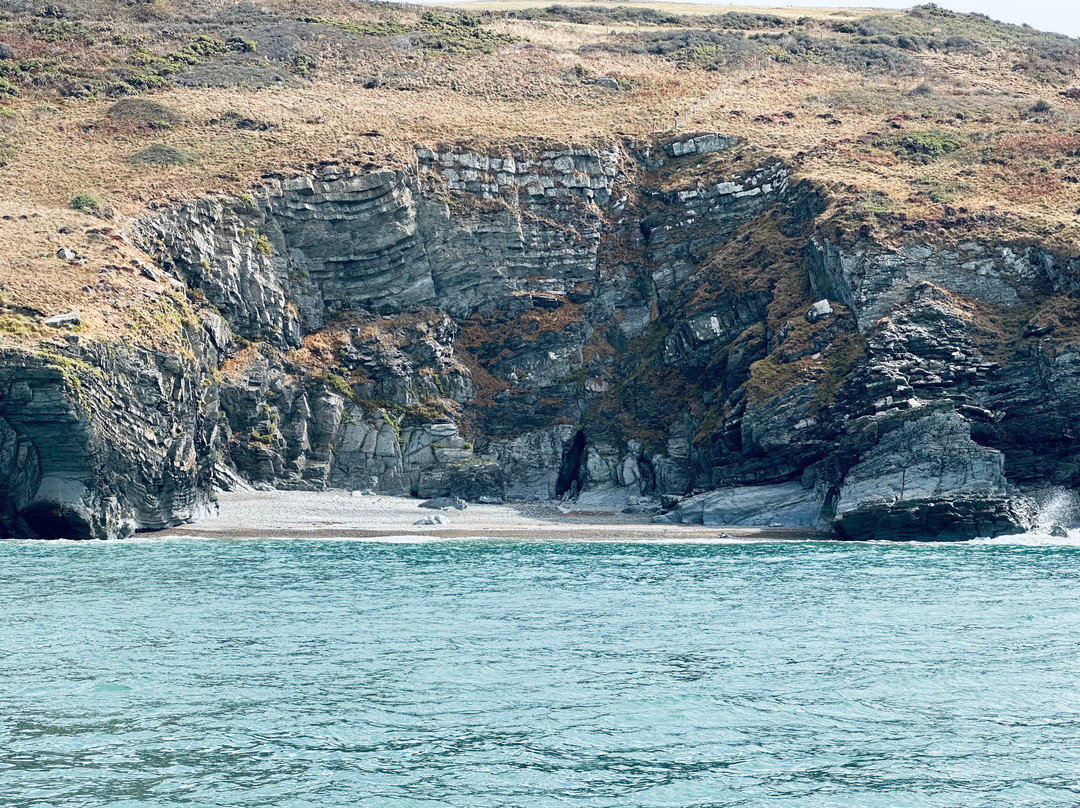 Dolphin Spotting Boat Trips (by New Quay Boat Trips)-纽基必去景点
