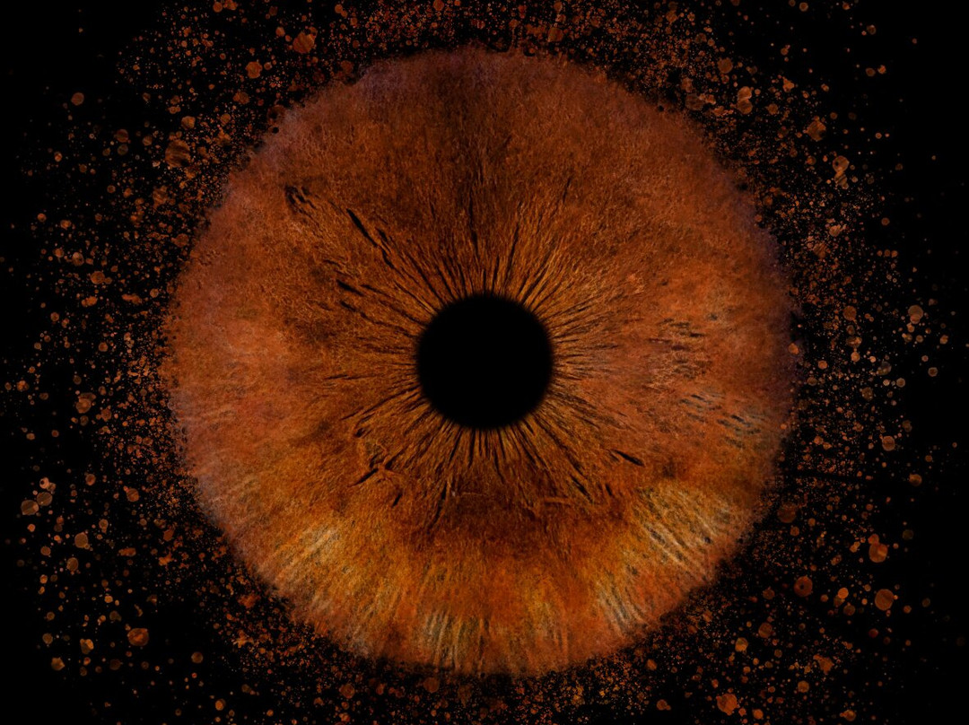Iris Galerie Gent