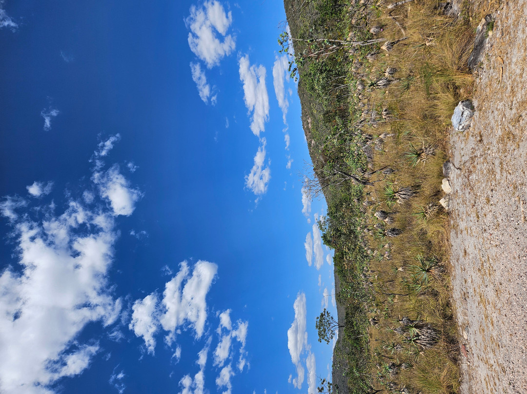 Parque Nacional da Chapada dos Veadeiros-上帕拉伊苏迪戈亚斯必去景点
