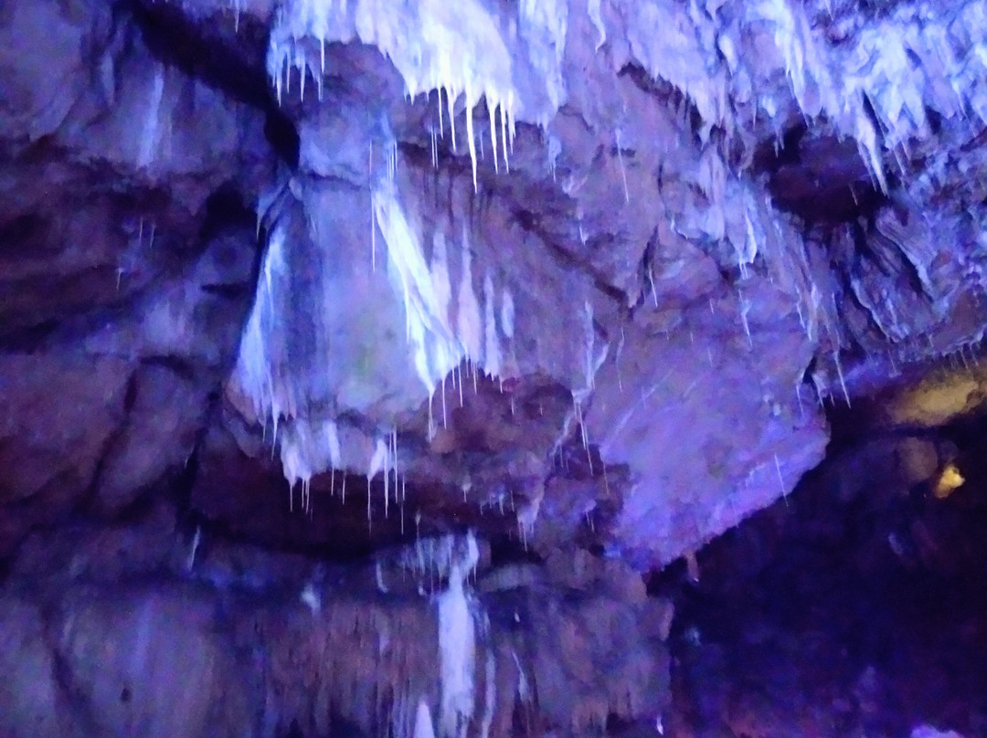 Poole's Cavern & Buxton Country Park-巴克斯顿必去景点