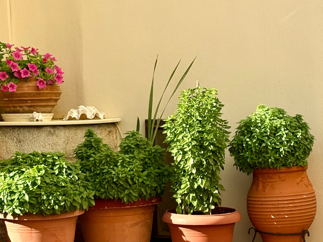 斐德拉酒店主图