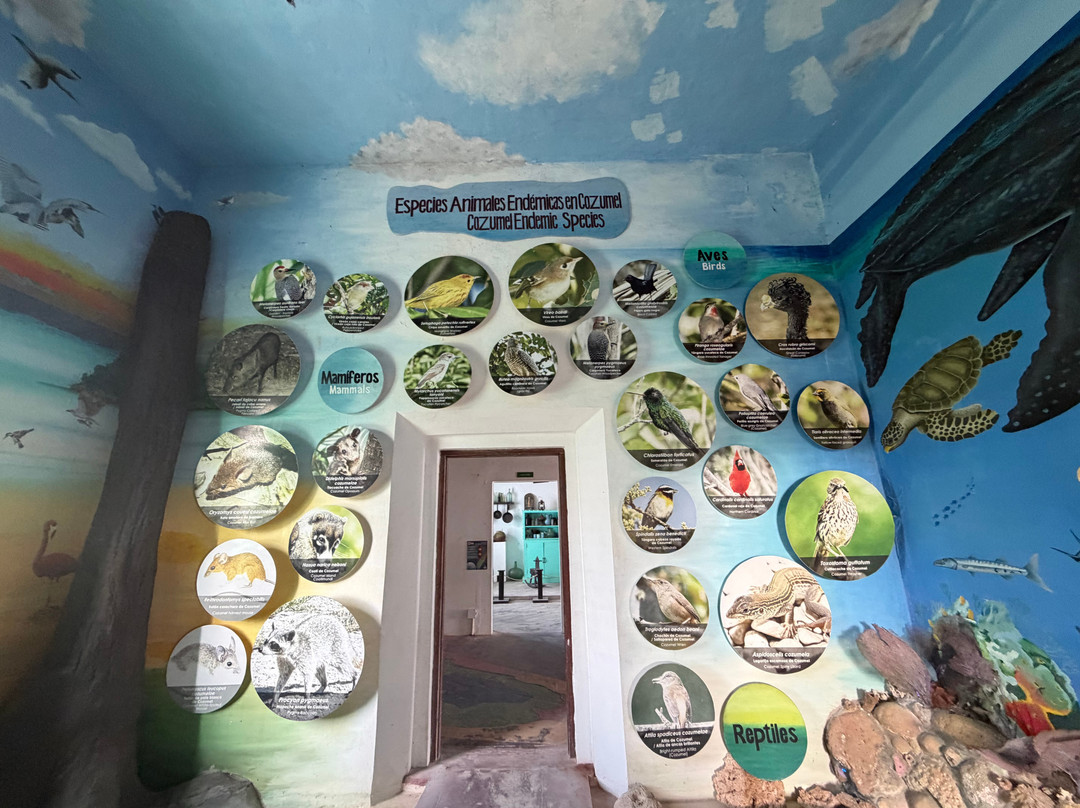 Punta Sur Eco Beach Park-考祖梅必去景点