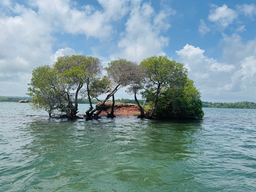 Koggala Lake Boat Safari & Kayak Adventure with Malish-克拉必去景点