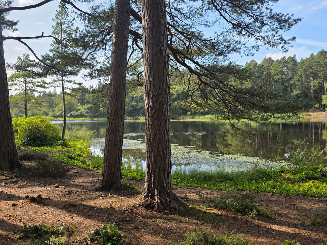 Cragside House and Gardens-Rothbury必去景点