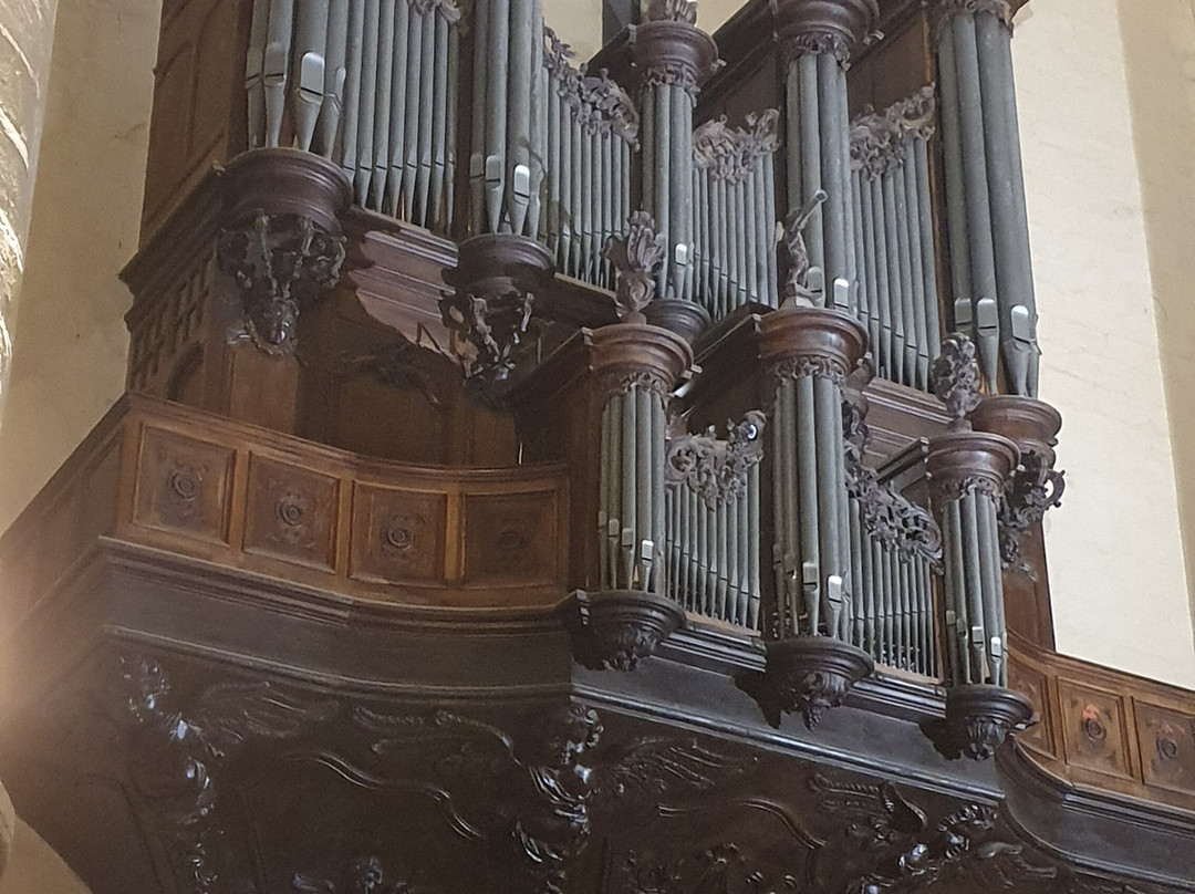 Cathedrale Saint-Sacerdos-萨尔拉必去景点