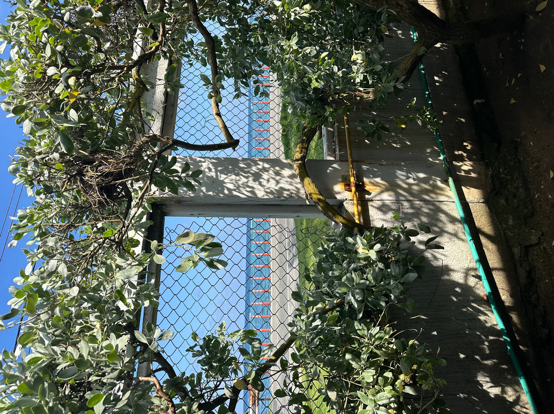 圣路易斯得可麦仑度假酒店 - 全包主图