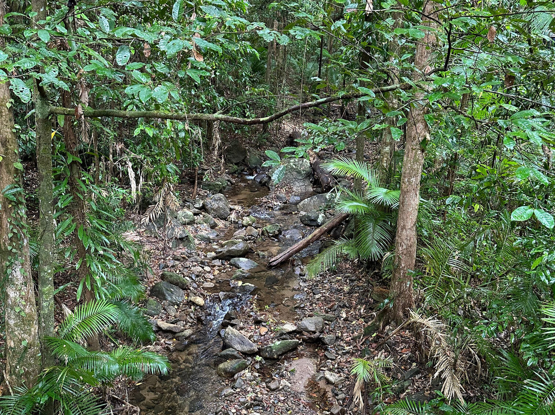 苦难角、莫斯曼峡谷和丹翠雨林一日游-凯恩斯必去景点