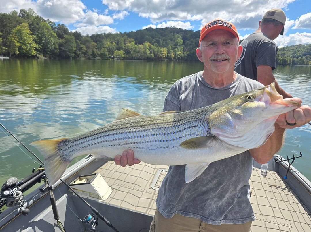 Tennessee River Monsters Fishing Guide Service - Striper, Catfish & Musky-Clinton必去景点