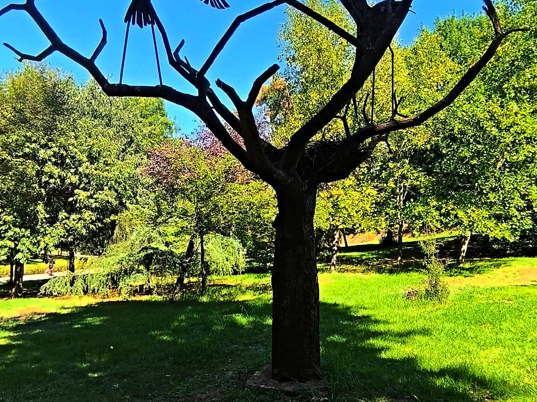 Parque Del Principe-卡塞雷斯必去景点